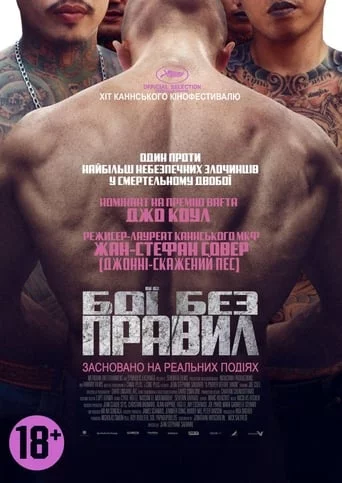 Бої без правил (2017)